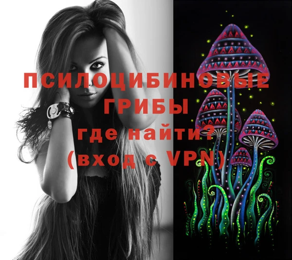 крисы Балахна
