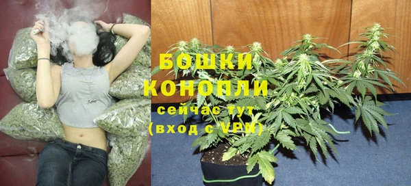 дживик Фёдоровский