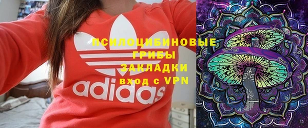 крисы Балахна