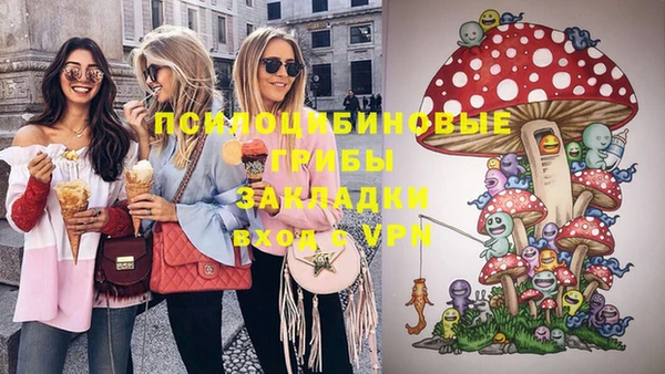 крисы Балахна