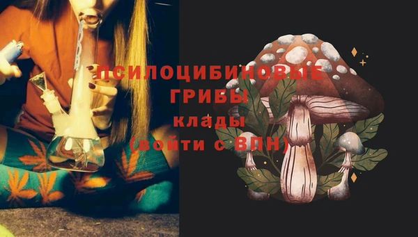 крисы Балахна