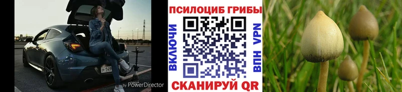 где продают наркотики Белая Холуница Галлюциногенные грибы прущие грибы
