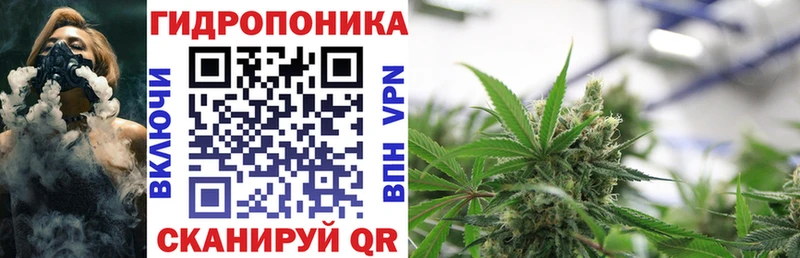 Канабис Amnesia Белая Холуница